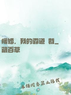 暖婚，我的霸道總裁