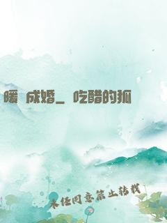 暖愛成婚