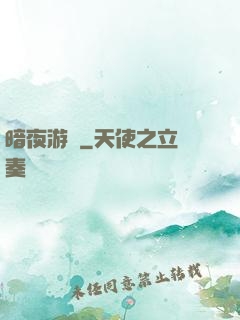 暗夜游俠