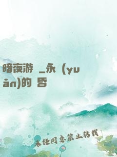 暗夜游俠
