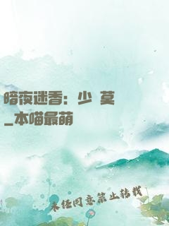 暗夜迷香：少帥莫貪歡