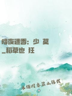 暗夜迷香：少帥莫貪歡