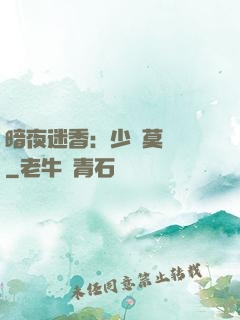 暗夜迷香：少帥莫貪歡