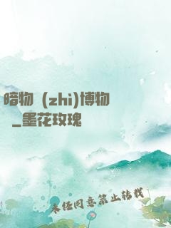 暗物質(zhì)博物館