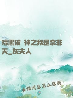 暗黑破壞神之我是奈非天