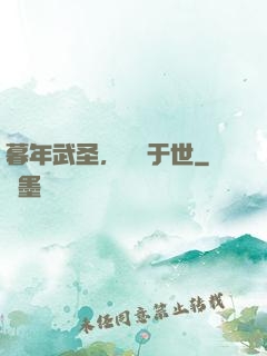 暮年武圣，無敵于世
