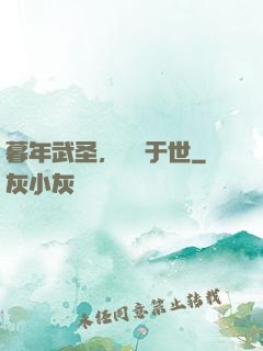 暮年武圣，無敵于世