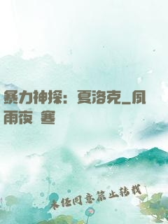 暴力神探：夏洛克