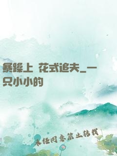 暴躁上將花式追夫