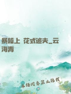 暴躁上將花式追夫