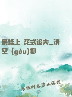 暴躁上將花式追夫