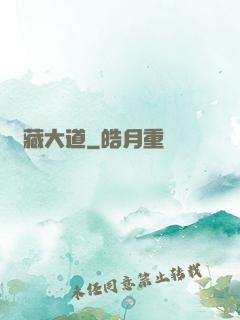 書藏大道