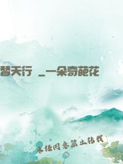 替天行盜