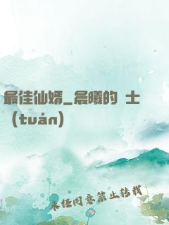 最佳仙婿