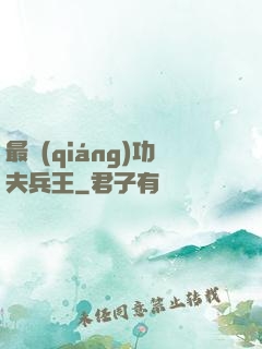 最強(qiáng)功夫兵王