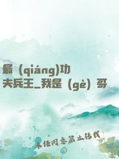 最強(qiáng)功夫兵王