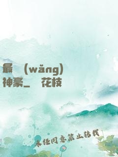 最強網(wǎng)絡神豪