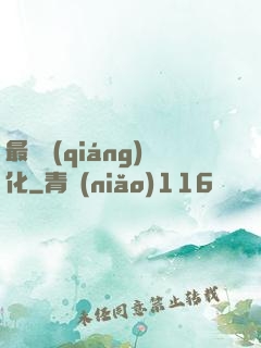 最終強(qiáng)化