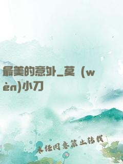 最美的意外