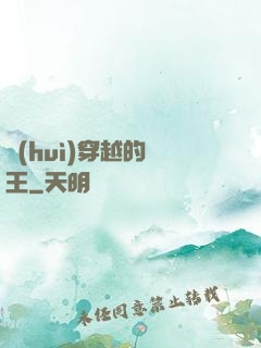 會(huì)穿越的國王