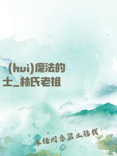 會(huì)魔法的騎士