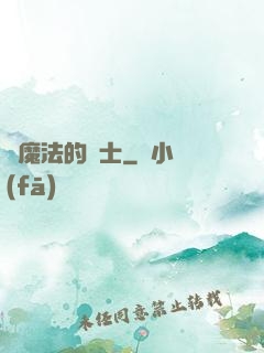 會魔法的騎士