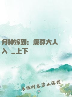 月神嫁到：魔尊大人請入甕