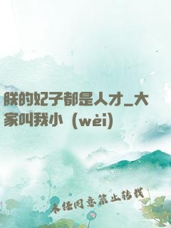 朕的妃子都是人才