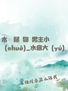 木馬雙腿墜物雙男主小說(shuō)