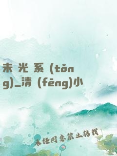 未來光腦系統(tǒng)