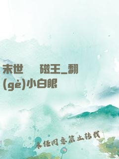 末世無敵萬磁王