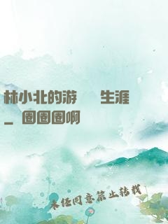 林小北的游戲賺錢生涯