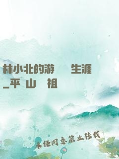 林小北的游戲賺錢生涯