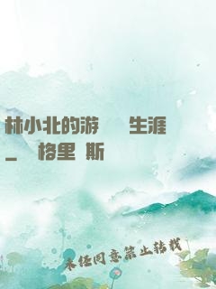 林小北的游戲賺錢生涯