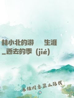 林小北的游戲賺錢生涯