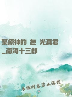 某原神的黃色閃光真君