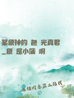 某原神的黃色閃光真君