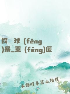 校園籃球風(fēng)暴