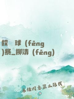 校園籃球風(fēng)暴