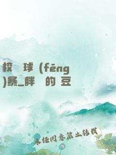 校園籃球風(fēng)暴