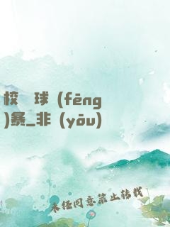校園籃球風(fēng)暴