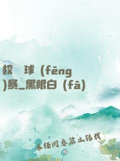 校園籃球風(fēng)暴