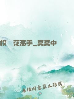校園護花高手