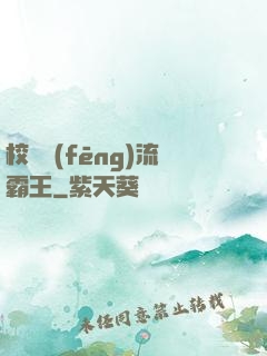 校園風(fēng)流霸王