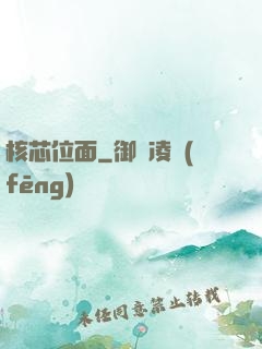 核芯位面