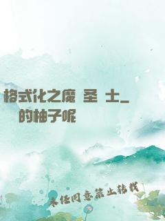 格式化之魔獸圣騎士