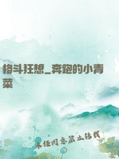 格斗狂想