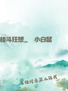 格斗狂想
