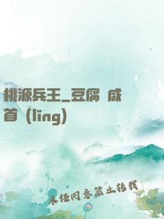 桃源兵王