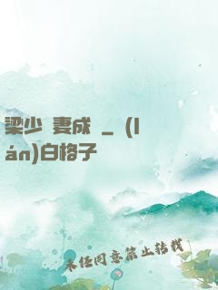 梁少寵妻成癮